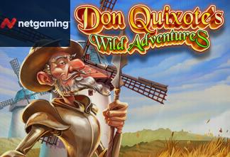 Don Quixote's Wild Adventures