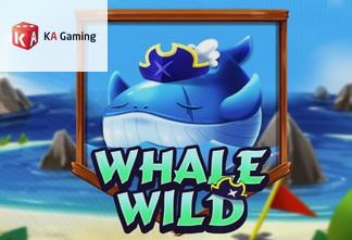 Whale Wild